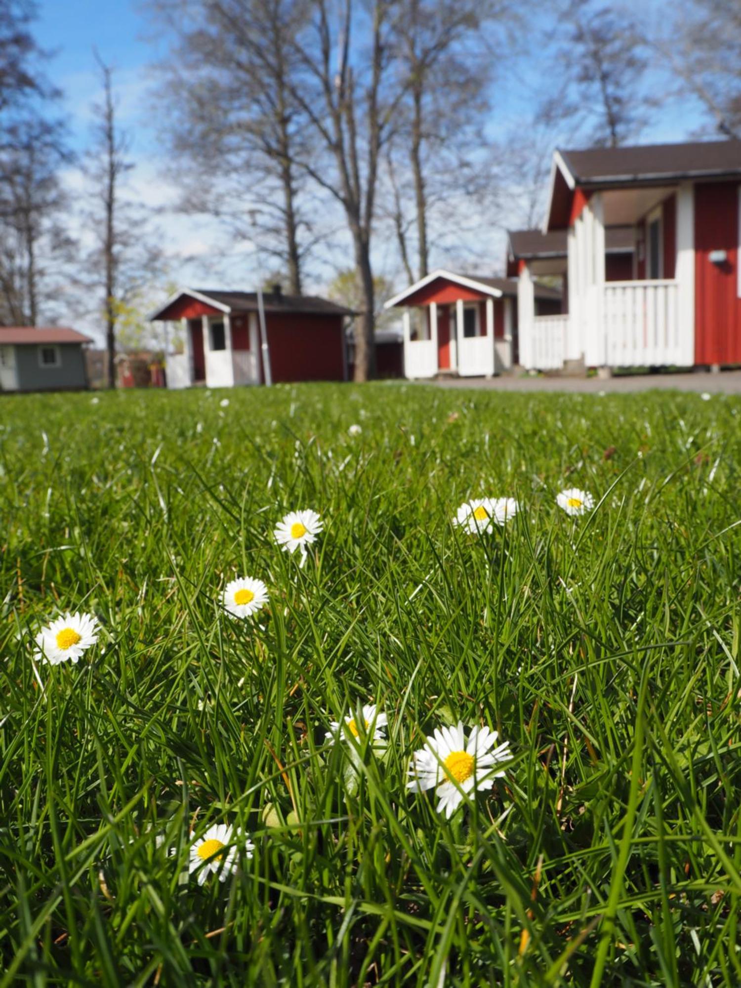 Skara Stads-Camping & Stugby Exterior photo